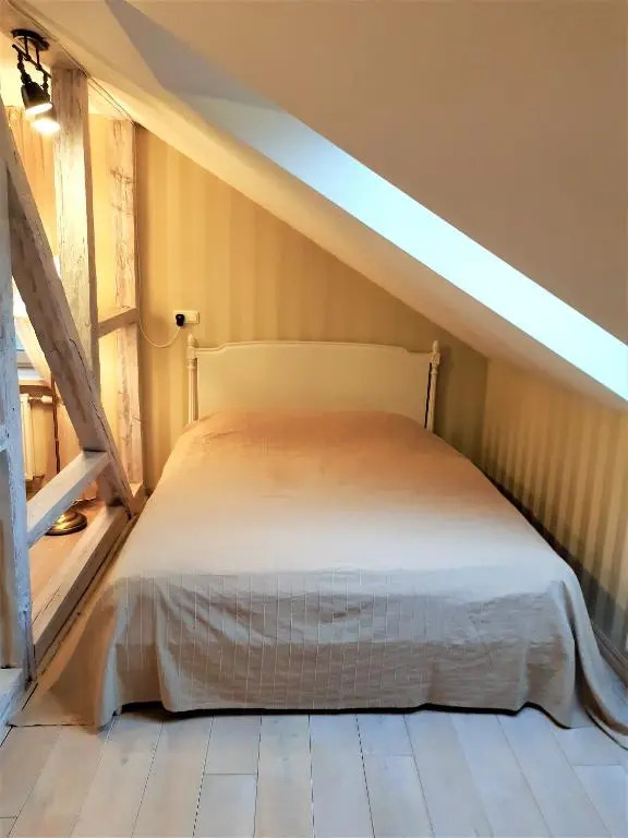 Klaipeda Old Town Center Apartment