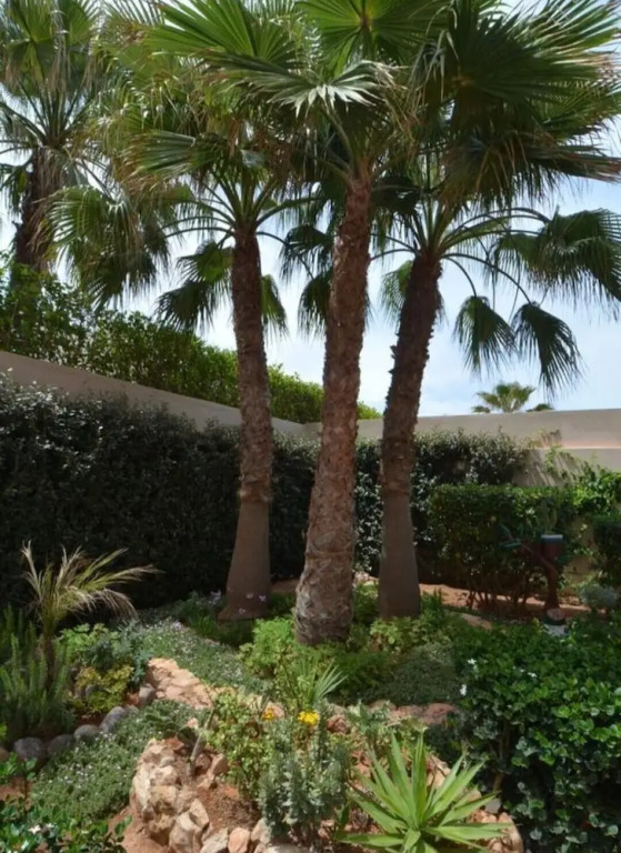 Sable de Mirleft Luxury Apartment