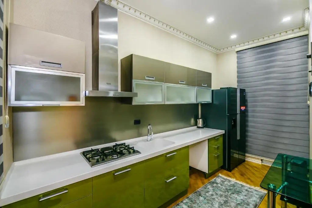 Super Deluxe Apartment on Nizami Street