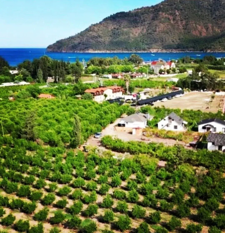 Utopya Apart Kamp Alani