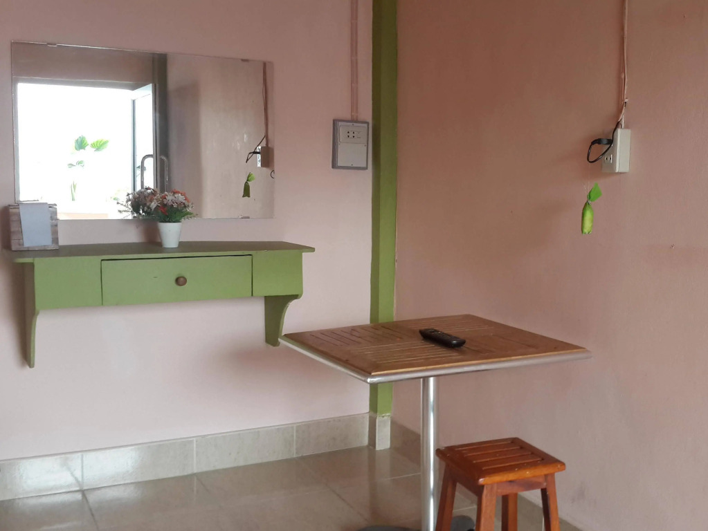 Pink House