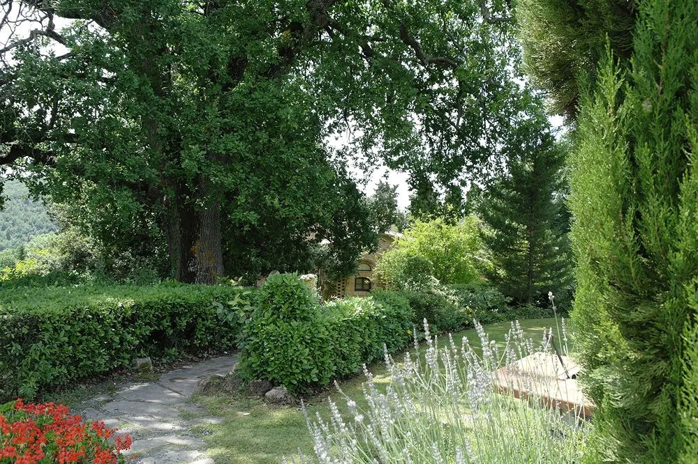 Rodilosso