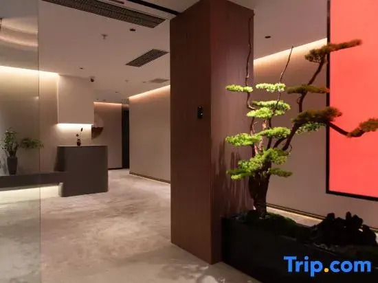 Xiyue Designer Hotel (Zhongshan Ferry Branch, Erma Road Food Street)