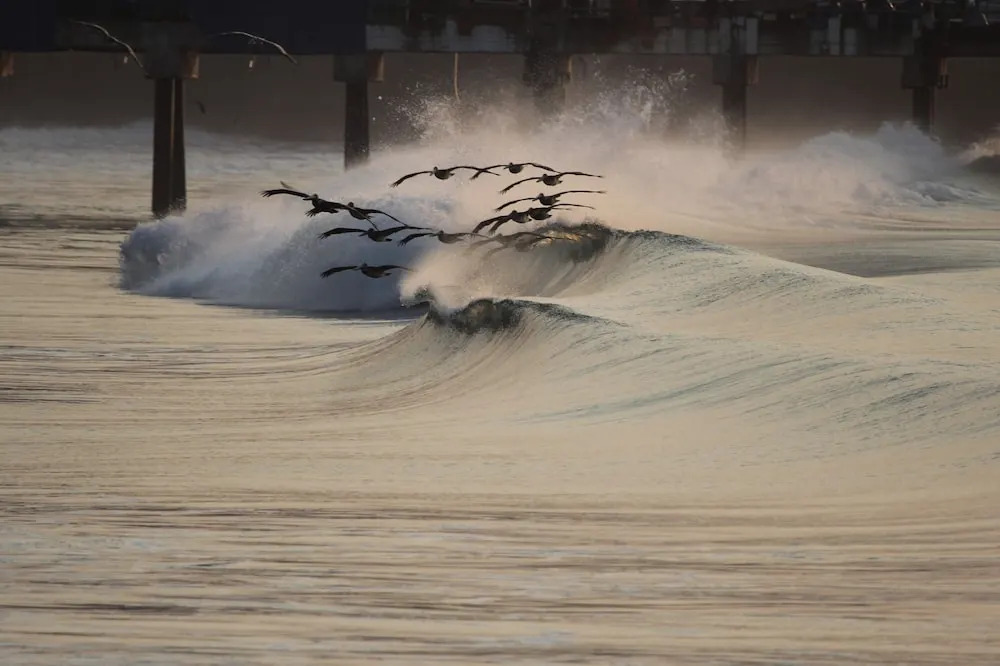 Ast Surf Hotel