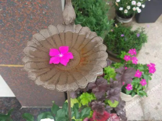 Haifeng B&B