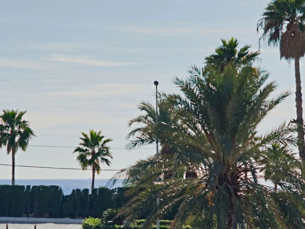 Apartment Larimar Calpe/Calp