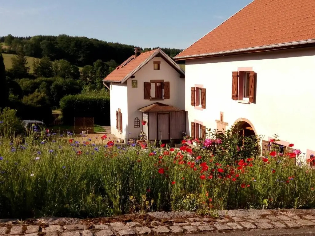 Gîte rustique à Laveline-du-Houx, proche forêt - FR-1-589-141
