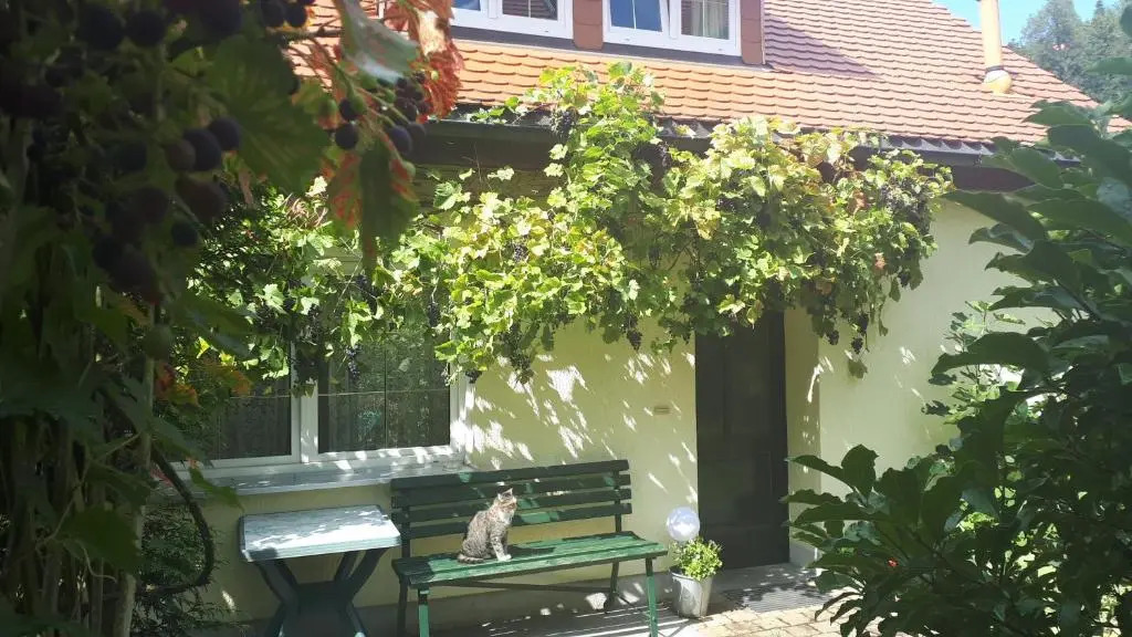 Ferienhaus Puttrich