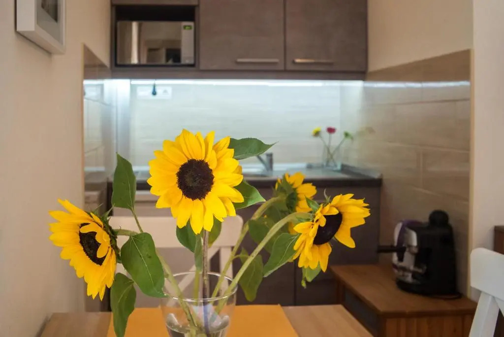 Friendly home in the center