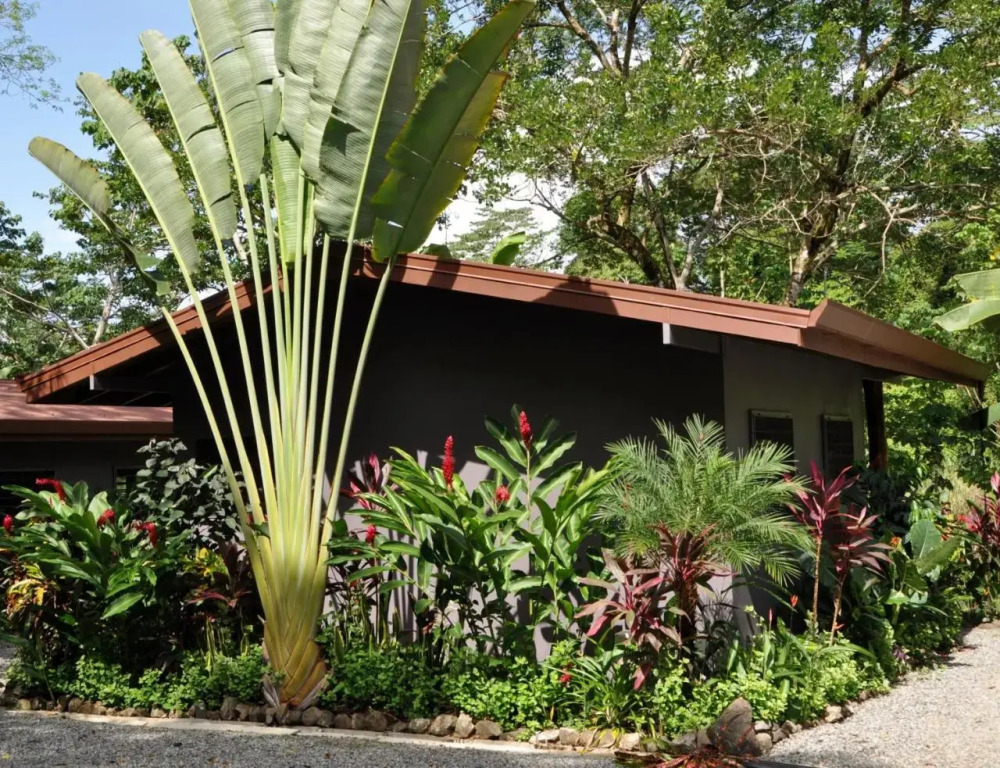 Casitas Del Rio Riverfront Nature Lodge