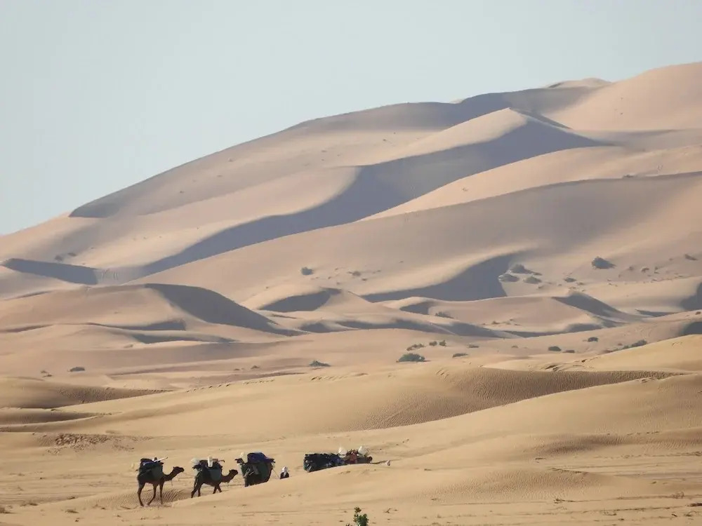 Merzouga Camp and Hostel