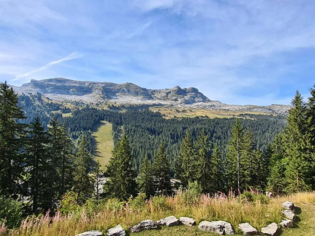 Studio Flaine, 1 pièce, 4 personnes - FR-1-425-156