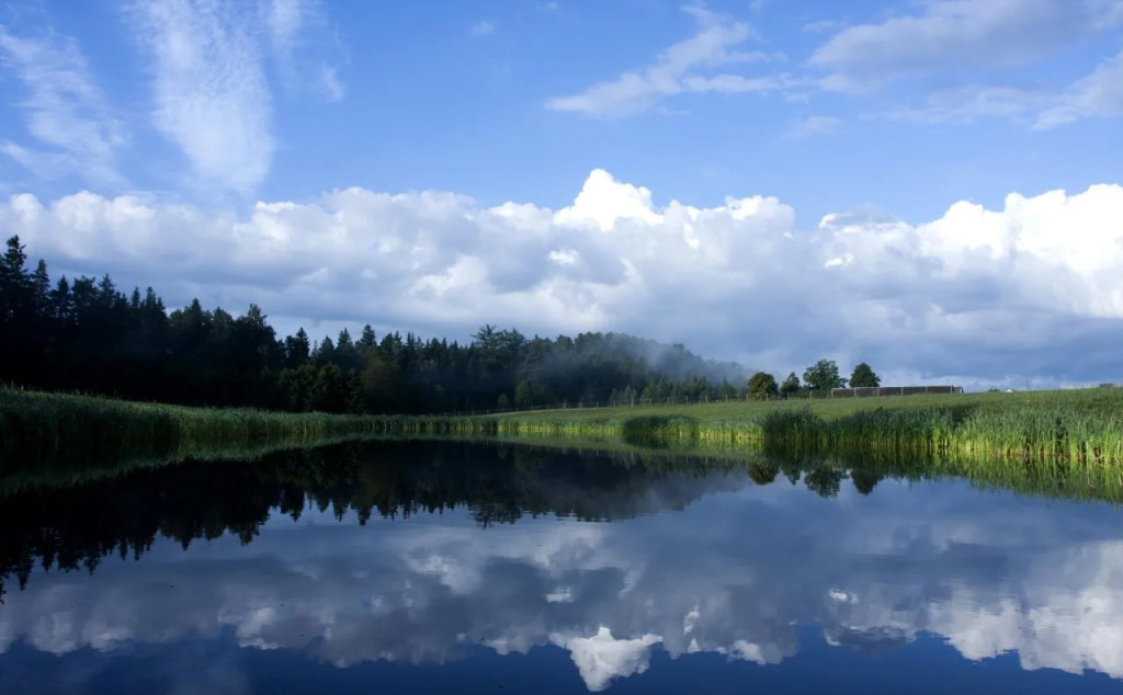 Отель Harmony Park