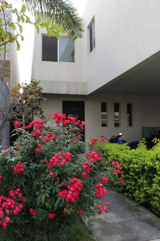 Consulado Suites