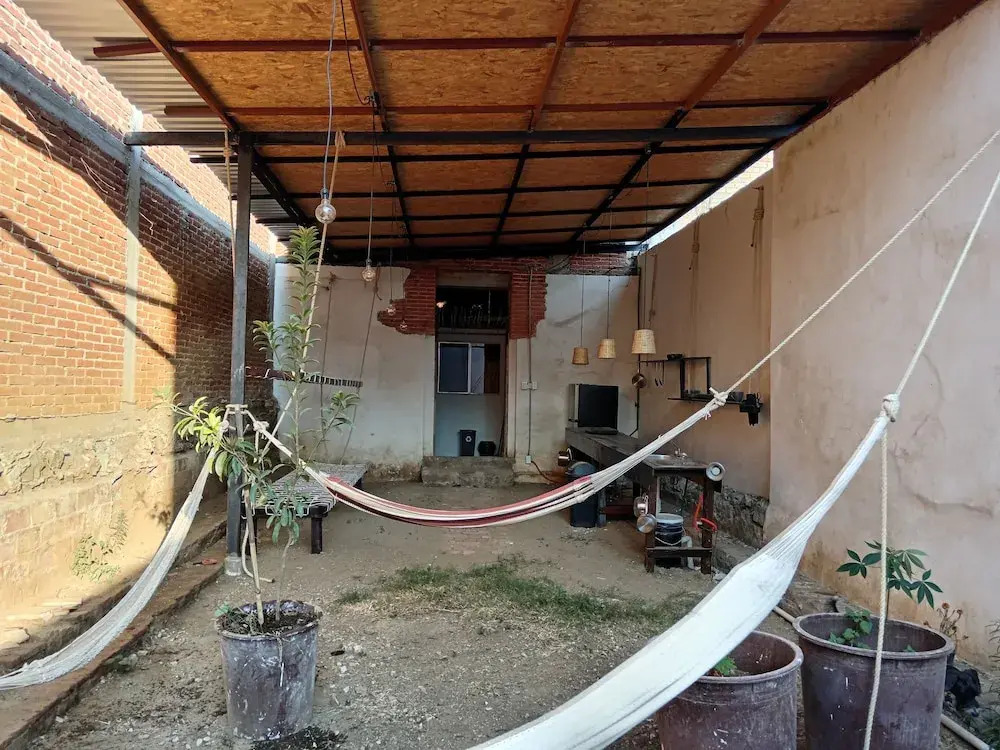 Iguana Coliving
