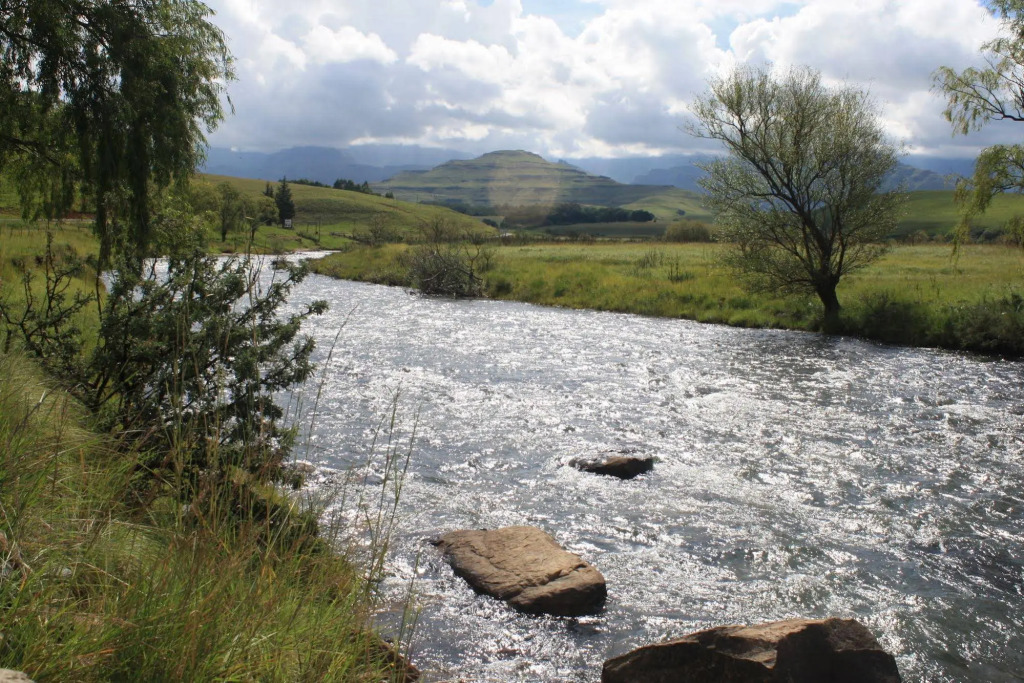 Nguni Moon Tepee Camp