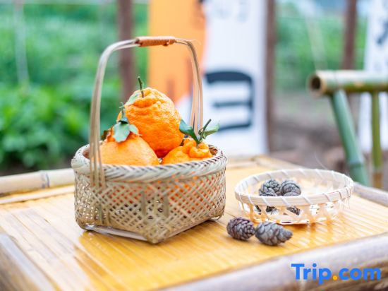 Shengsi Pushu • 18 mu B&B