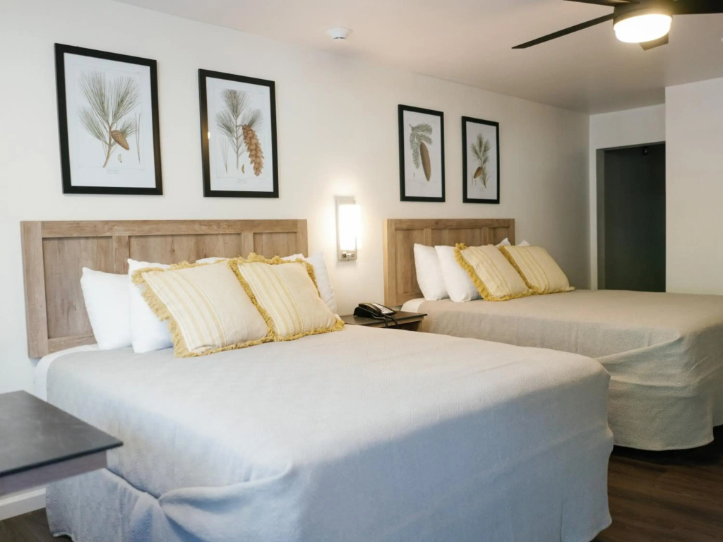Cedar Lodge