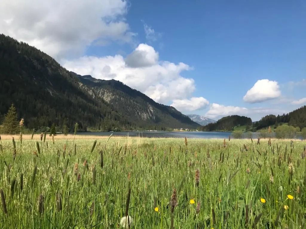 Das Haldensee