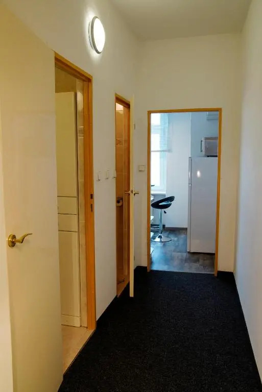 City centre apartment Demio