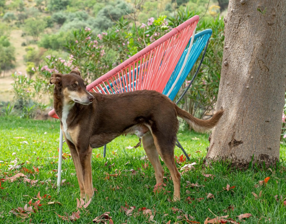 Finca Las Hierbas B&B
