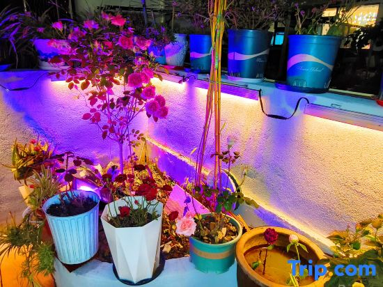 Yuhua Chunxiao Boutique Theme Inn