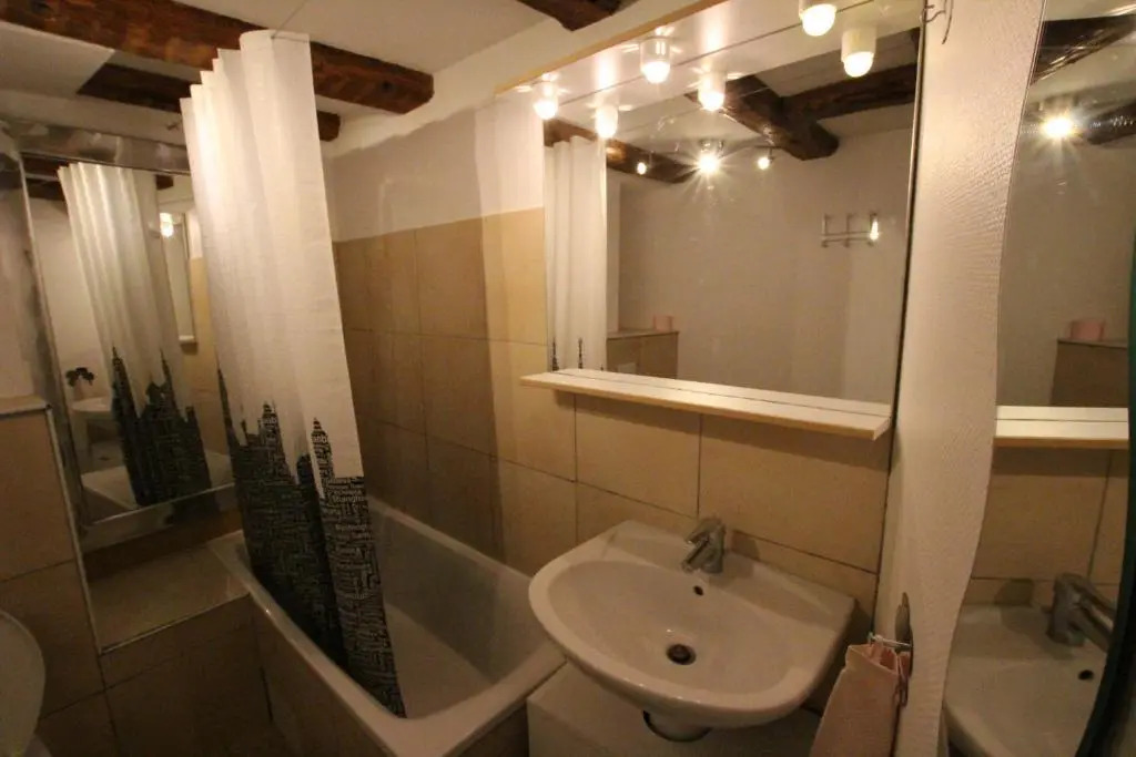 Colmar Historic Center - Alsacian Appartement PETITE VENISE 1 - BookingAlsace