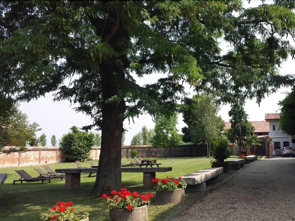 Chicco D'Oro Suites