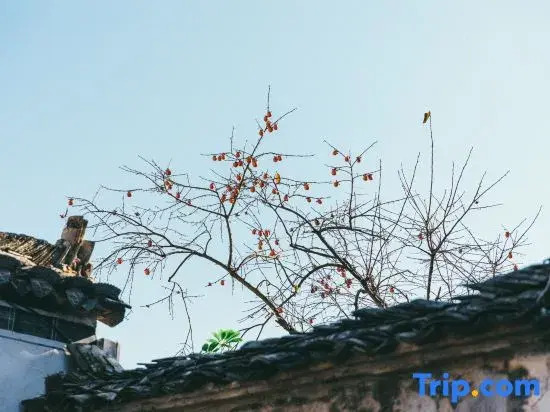 Momoming YAJU Designer Homestay in Hongcun Village