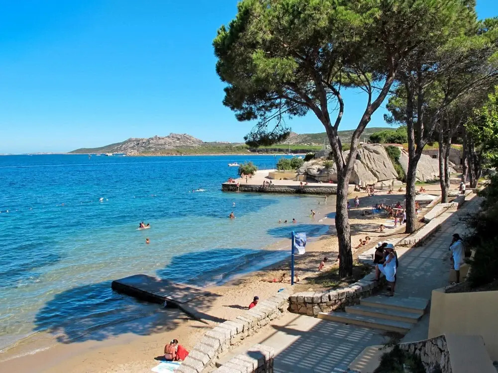Mimosa Punta Sardegna