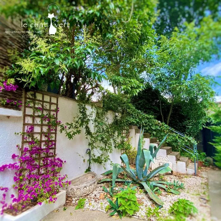 Le Chat Vert - Appartements Adults Only