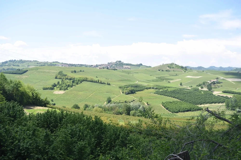 Cascina San Bernardo