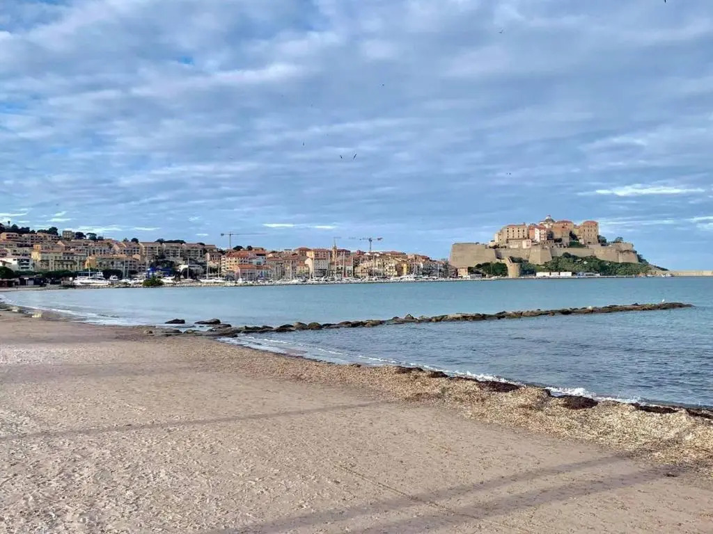 Appartement Calvi, 2 pièces, 4 personnes - FR-1-63-278
