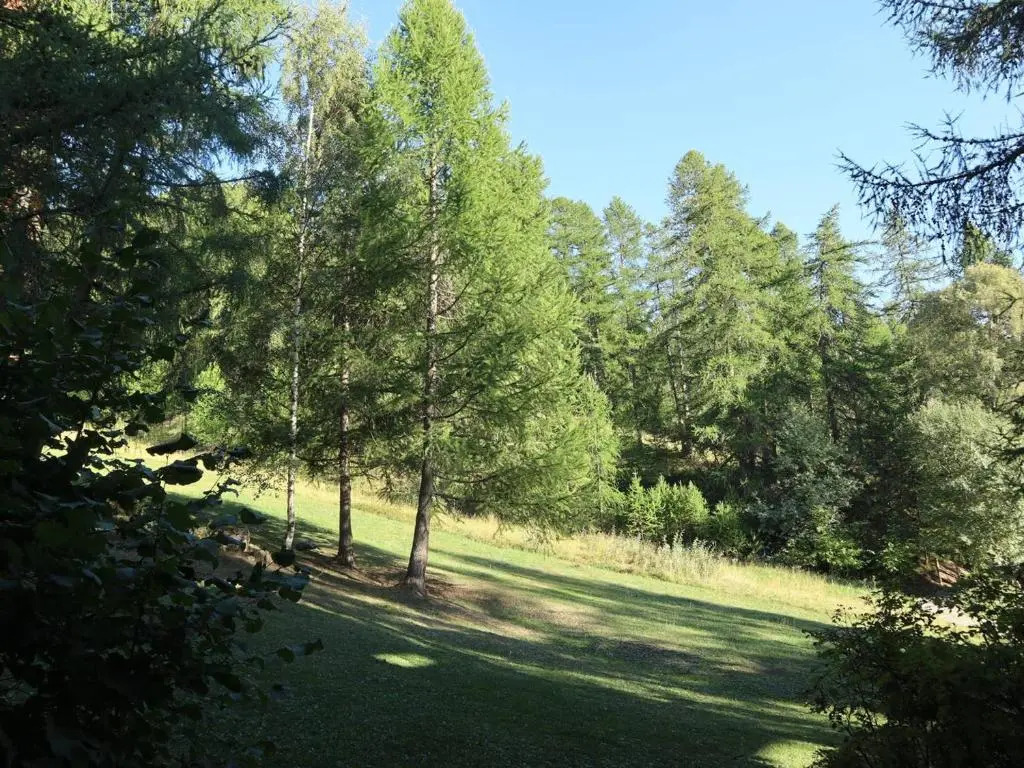 Appartement Les Orres, 2 pièces, 6 personnes - FR-1-322-233