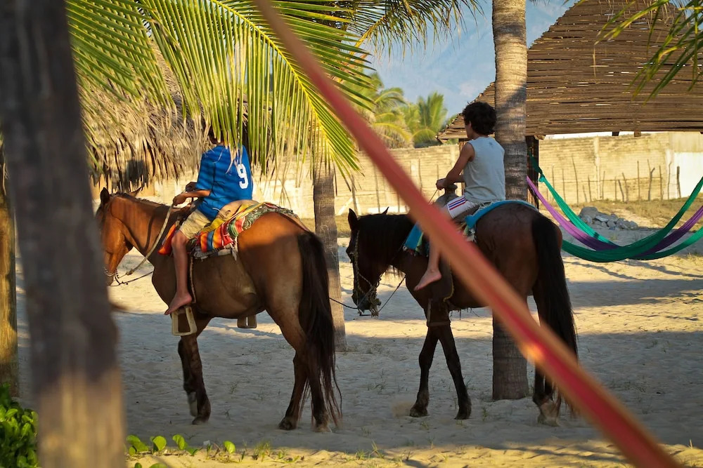 Small Luxury Hotel, Hideaway Near Acapulco on the Beach