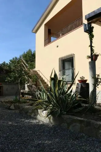 B&B Il Vigneto