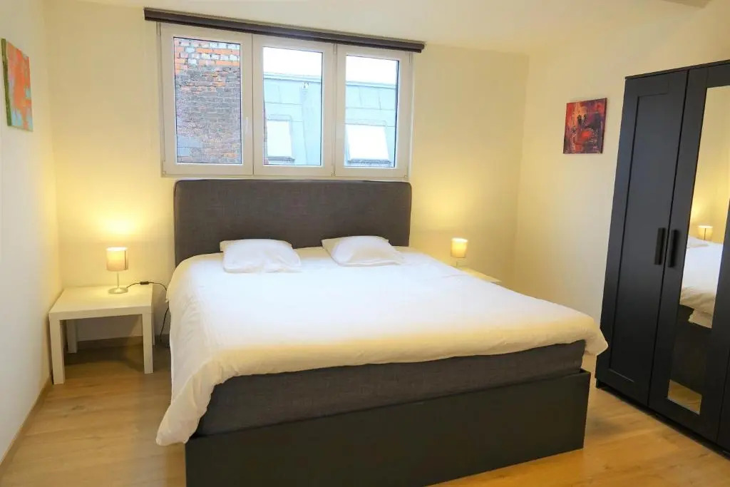 The Roof - BnB Antwerp Historic City Centre - FREE PARKING - GARAGE
