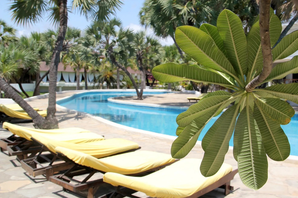 Angel's Bay Resort
