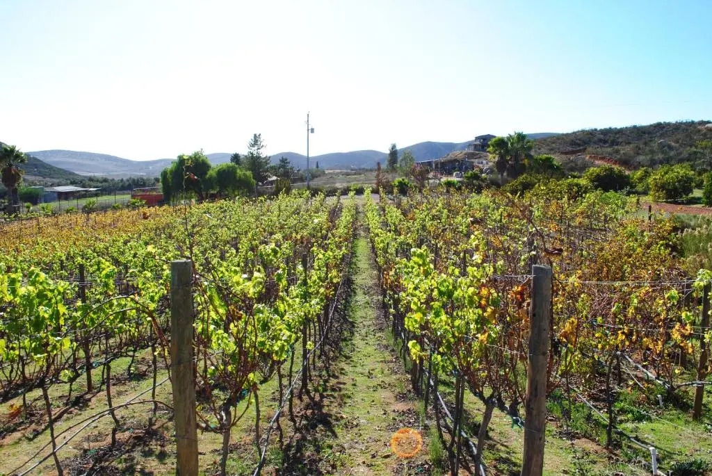 Rancho Cien Piedras