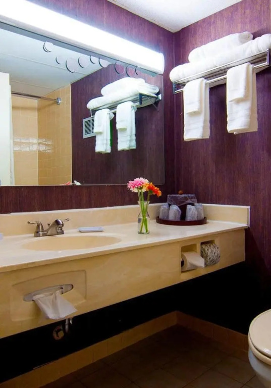 Quality Inn Finger Lakes Region