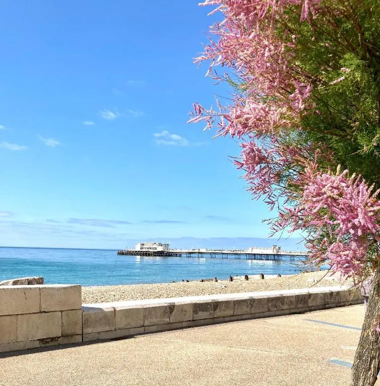 Gorgeous Central Studio with Balcony, 2 mins to Beach and Pier