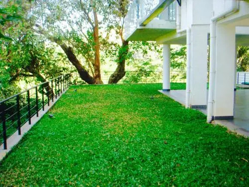 Luxurious 2BHK for Ultimate Holiday Experience in Goa - 2