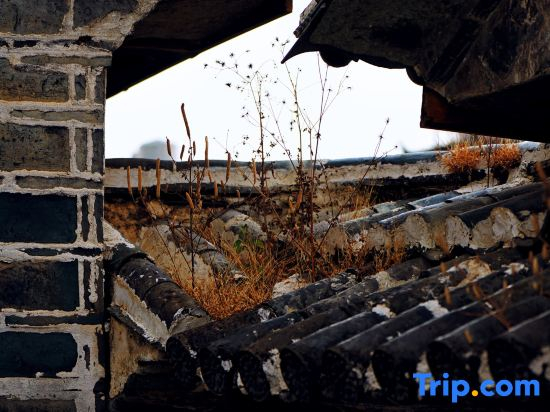 Yangqing Yinfu Ancient Architecture Homestay (Xizhou Ancient Town Branch)