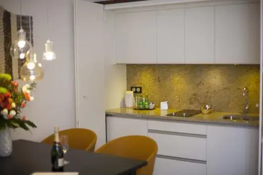 Apartamenty Sowa Toruń