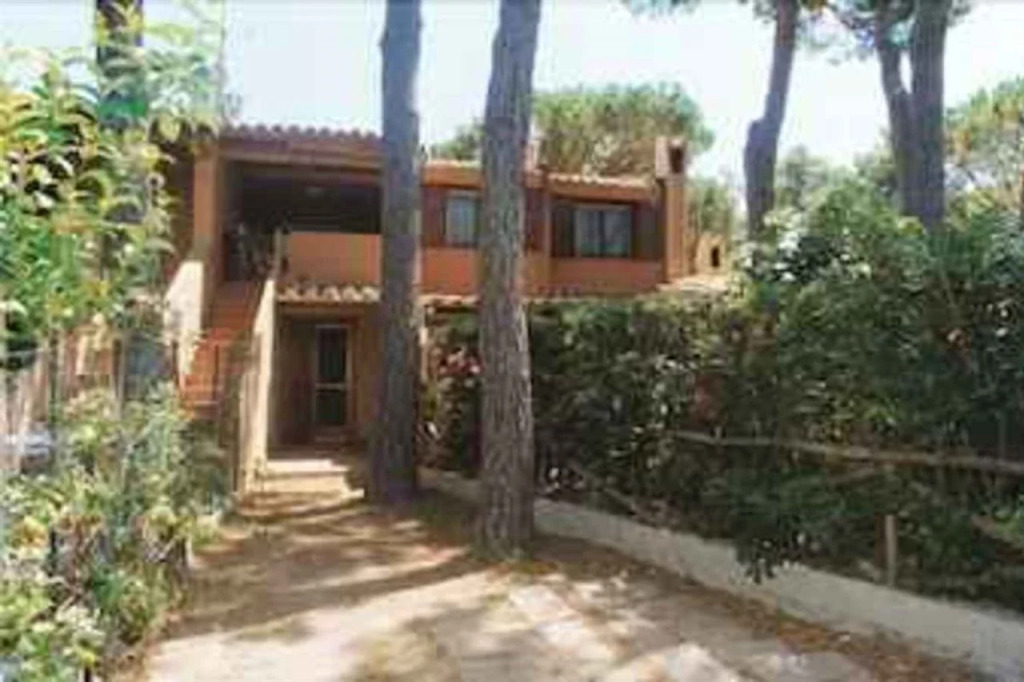 La Pineta
