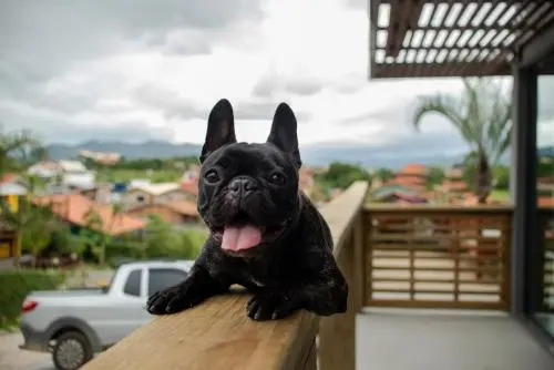Pousada Cabanas Kaia Lua