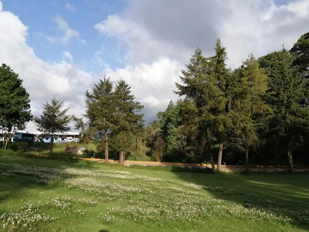 Hotel Bosques