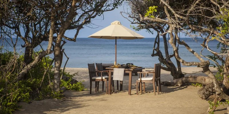Jungle Beach Resort