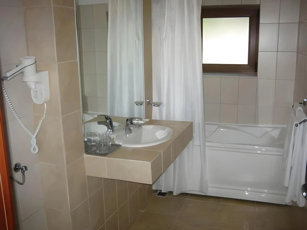 Hotel Timisoara Sannicolau Mare