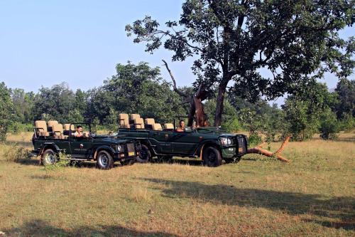 Samode Safari Lodge, Kuchwahi Image 10